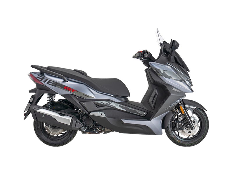 ARIIC 318GT - grey